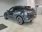 2024 Alfa Romeo Stelvio AWD SUV for sale #DD26019A - photo 9