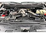 2022 Ford F-350 Crew Cab SRW 4x4 Pickup for sale #2226464T - photo 12