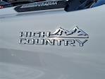 2024 Chevrolet Silverado 3500 Crew Cab 4x4 Pickup for sale #68136B - photo 8
