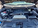 Used 2023 Ford F-150 SuperCrew Cab 4x4 Pickup for sale #X12460 - photo 18
