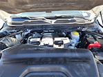 2024 Ram 3500 Crew Cab 4x4 Pickup for sale #X12647 - photo 14