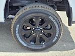 New 2025 Ram 2500 Lone Star Crew Cab 4x4 Pickup for sale #SG512456 - photo 8