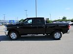 New 2024 Ram 2500 Tradesman Crew Cab 4x4 Pickup for sale #24168 - photo 18