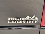 2020 Chevrolet Silverado 3500 Crew Cab 4x4 Pickup for sale #LF271253A - photo 6