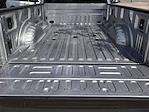 2022 Ford F-350 Crew Cab DRW 4x4 Pickup for sale #NED29617 - photo 20