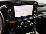 2024 Ford F-250 Crew Cab 4x4 Pickup for sale #REE84779A - photo 15