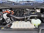 Used 2024 Ford F-150 XLT SuperCrew Cab for sale #RFA03071 - photo 25