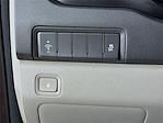 2017 Kia Sedona FWD Minivan for sale #325F4393 - photo 10