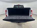 2017 Ford F-250 Crew Cab 4x4 Pickup for sale #EB0071 - photo 9