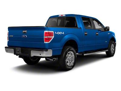 Used 2010 Ford F-150 - photo 1