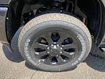 New 2025 Ram 3500 Big Horn Crew Cab 4x4 Pickup for sale #L539197 - photo 22