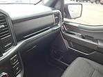 2024 Ford F-150 SuperCrew Cab 4WD Pickup for sale #B5355C - photo 10
