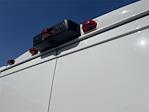 2024 Ram ProMaster 1500 Standard Roof FWD, Empty Cargo Van for sale #RE136402 - photo 7