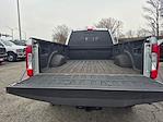 2017 Ford F-250 Crew Cab 4WD Pickup for sale #F260223143T1 - photo 12