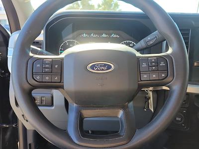 Used 2025 Ford F-350 - photo 1