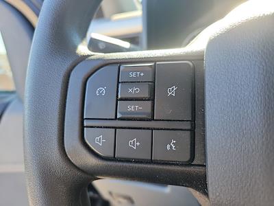 Used 2025 Ford F-350 - photo 1