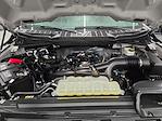 2025 Ford F-150 SuperCrew Cab RWD Pickup for sale #IE14350 - photo 13