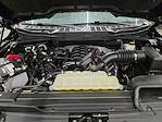 2022 Ford F-150 Regular Cab 4WD Pickup for sale #IE27822 - photo 13