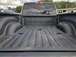 New 2024 Ram 2500 Big Horn Crew Cab 4x4 Pickup for sale #A429200 - photo 9
