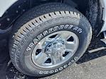 New 2024 Ram 2500 Tradesman Regular Cab 4x4 Pickup for sale #F442080 - photo 10
