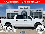 2025 Ram 1500 Crew Cab 4x4 Pickup for sale #83197 - photo 1