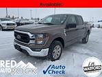 2023 Ford F-150 SuperCrew Cab 4WD Pickup for sale #Y1432 - photo 1