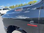 New 2025 Ram 3500 Big Horn Crew Cab 4x4 DRW Pickup for sale #520313 - photo 14