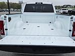 2025 Ram 2500 Crew Cab 4x4 Pickup for sale #SG511452 - photo 10