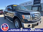2010 Ford F-150 SuperCrew Cab 4x4 Pickup for sale #25F211B - photo 1