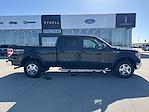 2010 Ford F-150 SuperCrew Cab 4x4 Pickup for sale #25F211B - photo 4