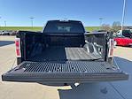 2010 Ford F-150 SuperCrew Cab 4x4 Pickup for sale #25F211B - photo 3