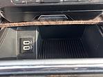 2017 Ford F-250 Crew Cab 4x4 Pickup for sale #25F264A - photo 31