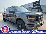 2024 Ford F-150 SuperCrew Cab 4x4 Pickup for sale #25F277B - photo 1