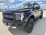 2024 Ford F-150 SuperCrew Cab 4x4 Pickup for sale #25F279A - photo 9