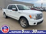 2009 Ford F-150 SuperCrew Cab 4WD Pickup for sale #25F304A - photo 1