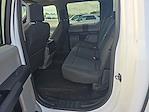 2017 Ford F-150 SuperCrew Cab 4x4 Pickup for sale #25F308A - photo 12