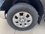 2011 Ford F-150 SuperCrew Cab 4WD Pickup for sale #25F328B - photo 13