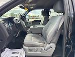 2011 Ford F-150 SuperCrew Cab 4WD Pickup for sale #25F328B - photo 14