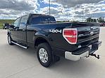 2011 Ford F-150 SuperCrew Cab 4WD Pickup for sale #25F328B - photo 9