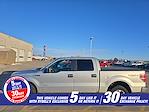 2013 Ford F-150 SuperCrew Cab 4WD Pickup for sale #25F395B1 - photo 3