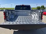 2025 Ram 1500 Crew Cab 4x4 Pickup for sale #25R778 - photo 5