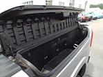 2025 Ram 1500 Crew Cab 4x4 Pickup for sale #11908 - photo 28