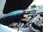 2022 GMC Sierra 1500 Crew Cab 4x4 Pickup for sale #20004A - photo 32