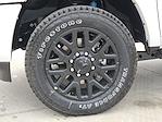 New 2025 Ram 2500 Limited Mega Cab 4x4 Pickup for sale #SG555912 - photo 9