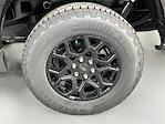 2025 Ford F-150 SuperCrew Cab 4x4 Pickup for sale #325F327 - photo 29