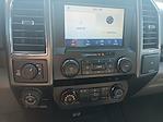 2020 Ford F-150 Regular Cab 4x4 Pickup for sale #325F3591 - photo 21