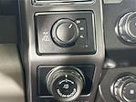 2020 Ford F-150 Regular Cab 4x4 Pickup for sale #325F3591 - photo 28