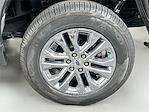 2025 Ford F-150 SuperCrew Cab 4x4 Pickup for sale #325F360 - photo 29