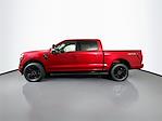 2025 Ford F-150 SuperCrew Cab 4x4 Pickup for sale #325F367 - photo 5