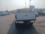 2023 Ford F-150 SuperCrew Cab 4x4 Pickup for sale #325F3821 - photo 10
